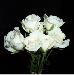 BESTFLORA-OPT.RU - Эквадор - Кустовая роза - white - white_majolica BESTFLORA-OPT.RU - Эквадор - Кустовая роза - white - white_majolica